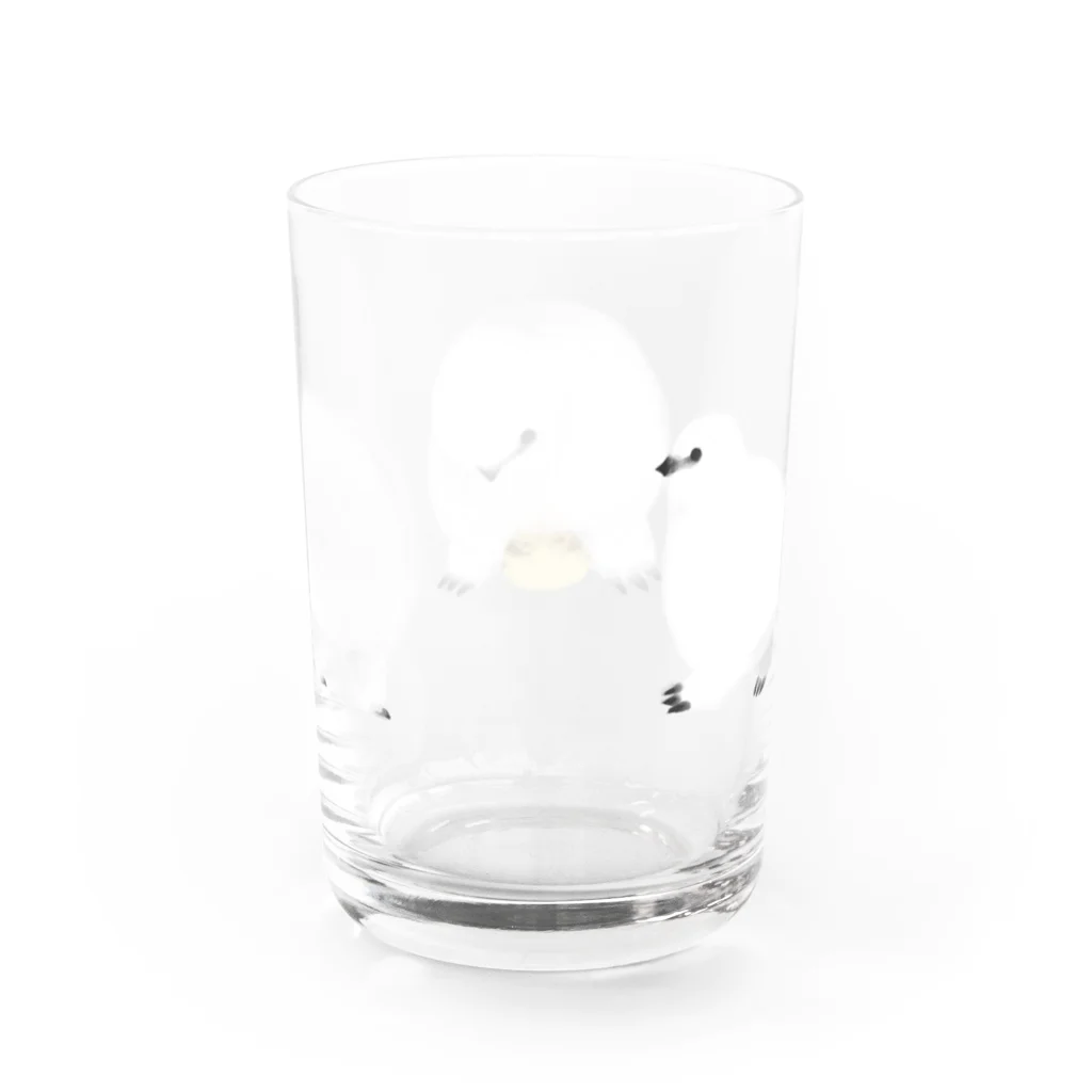 YAGUshopのraicho - さんれん Water Glass :back