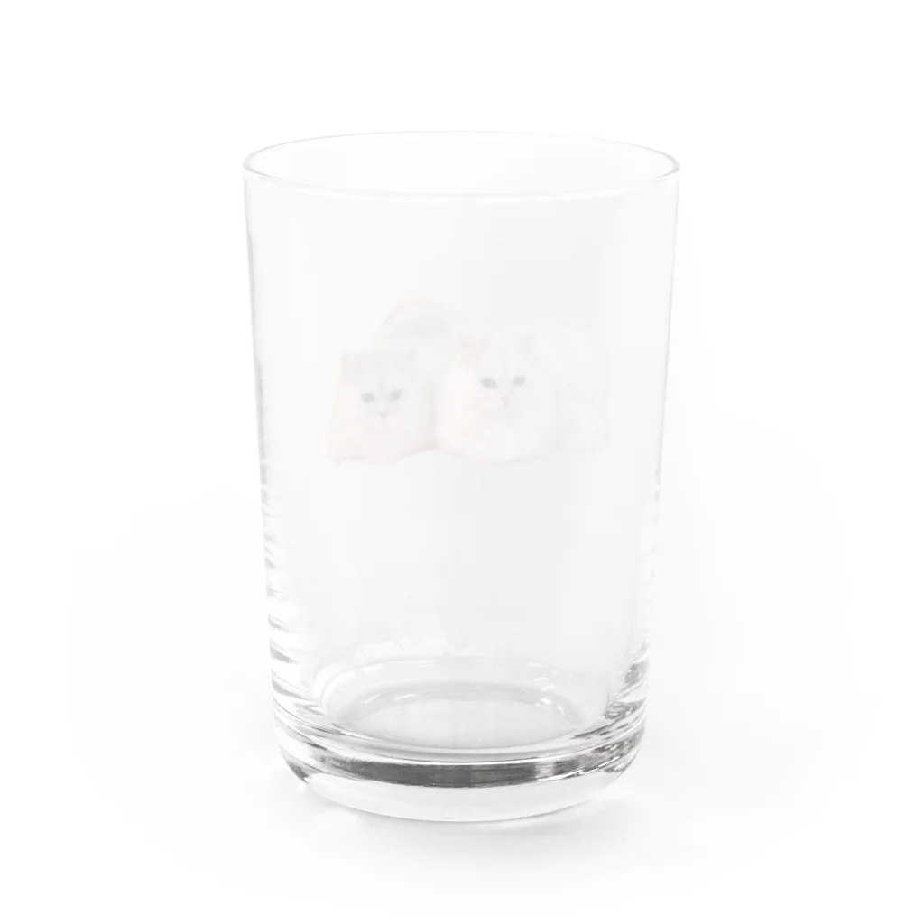 MOFU de MOFUのシロクロ Water Glass :back