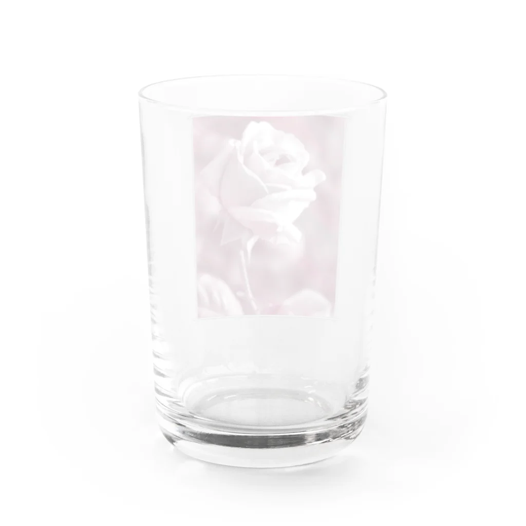 NoNseNseのNNN-Rose Water Glass :back