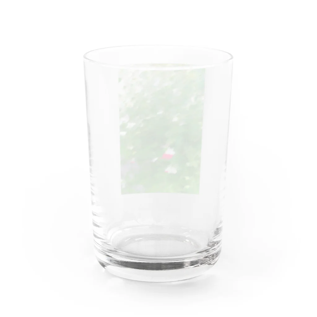 TATTUの花壇の小さな赤い花 Water Glass :back