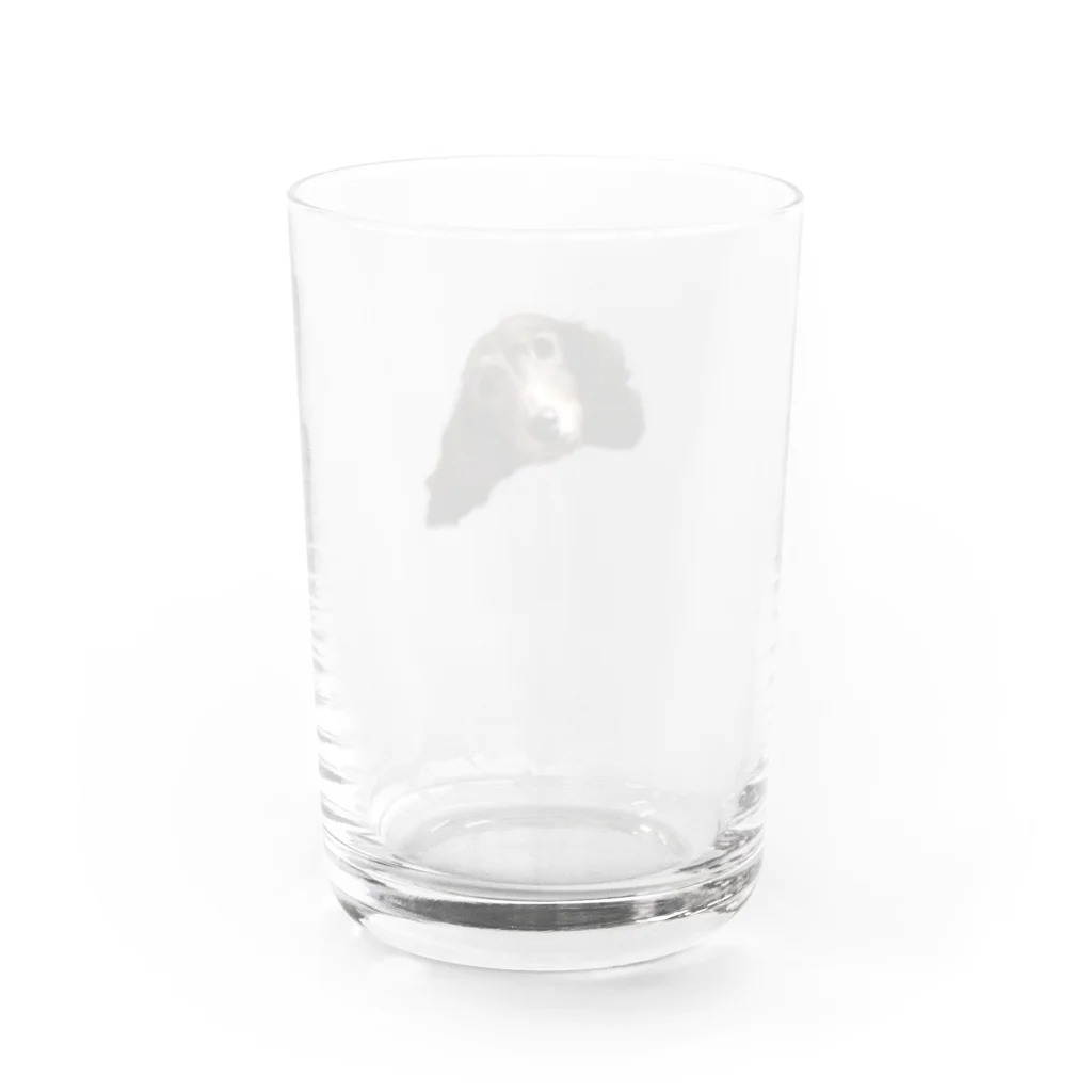 azuki_chiのあずきくん Water Glass :back