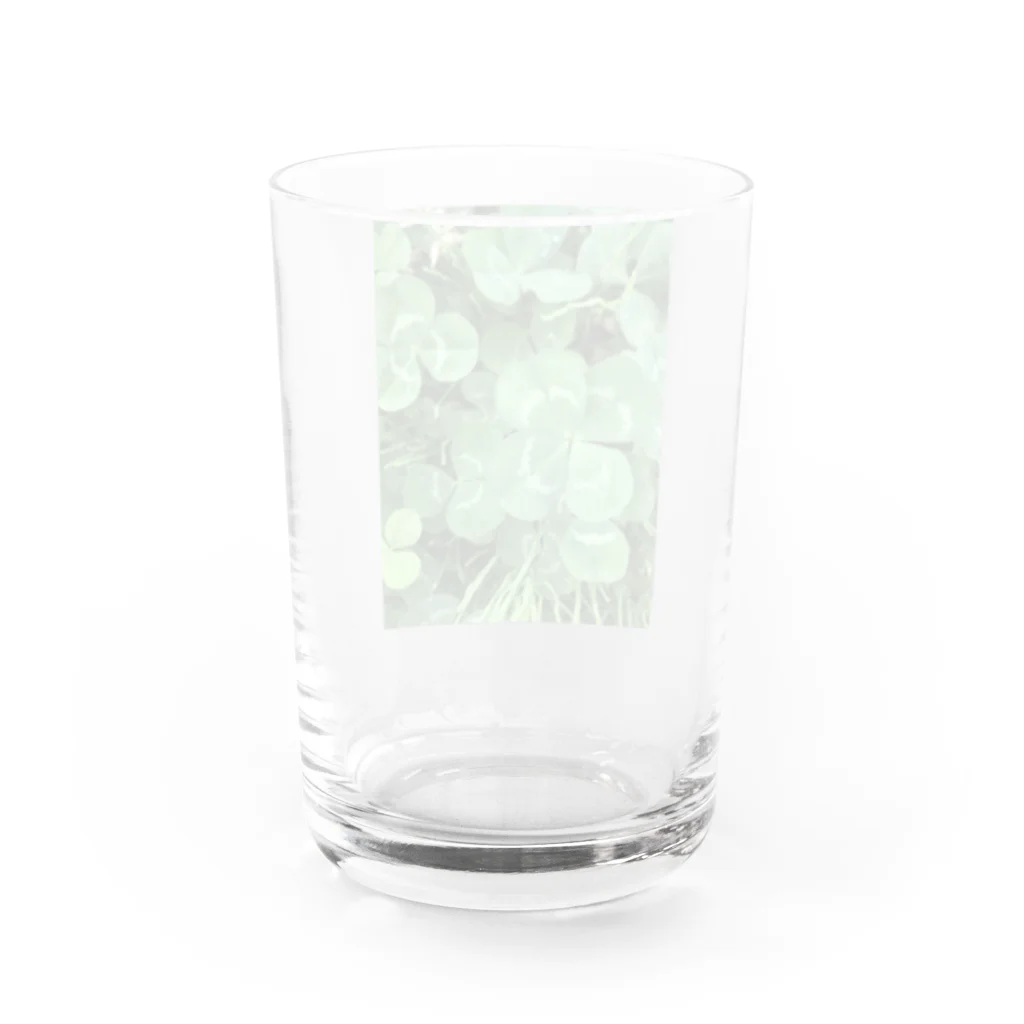 hia's photogalleryの自分らしさが幸せ Water Glass :back