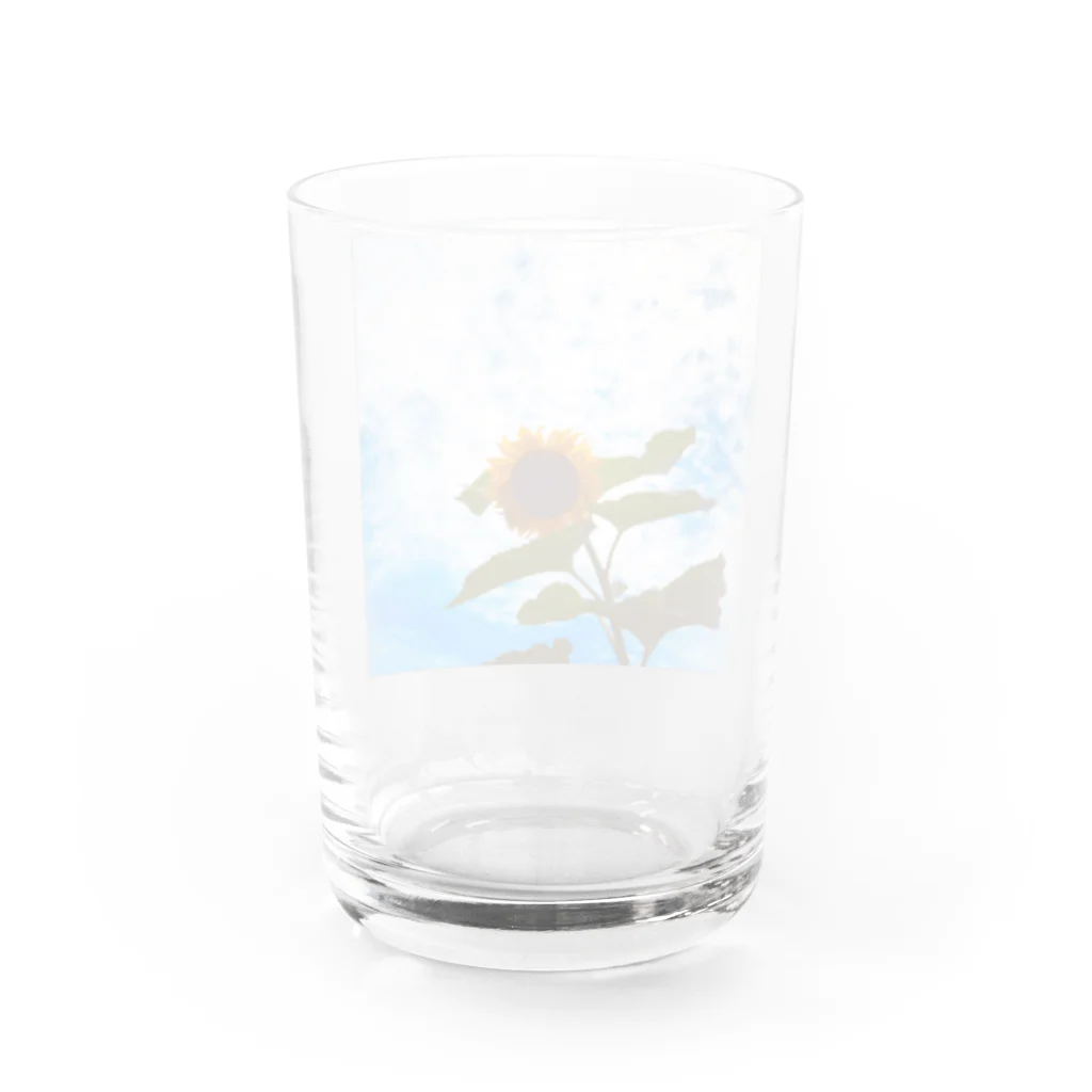 はるきちのぐんぐんひまわり Water Glass :back