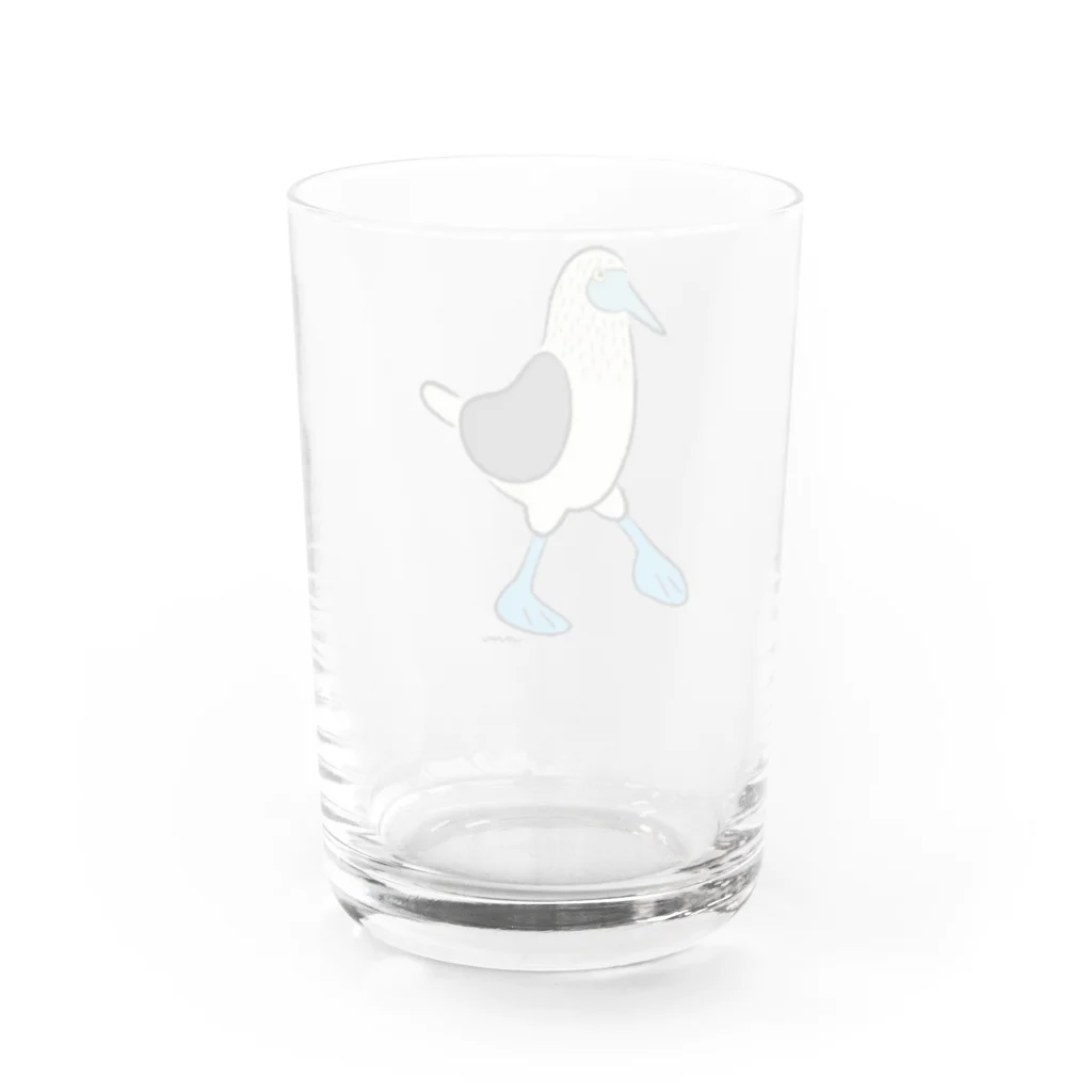 NMのお散歩アオアシカツオドリ Water Glass :back