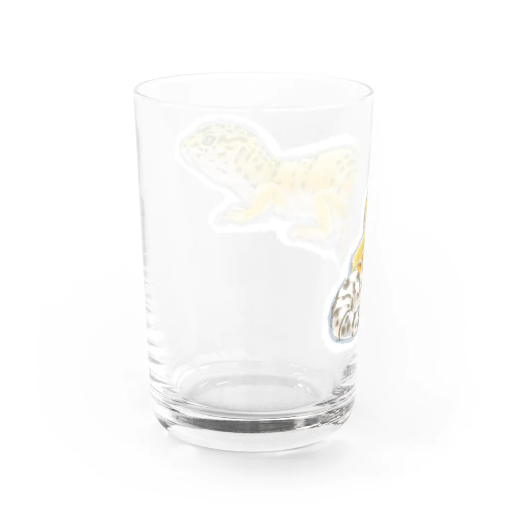 うすたのレオパ=タンジェリン Water Glass :back