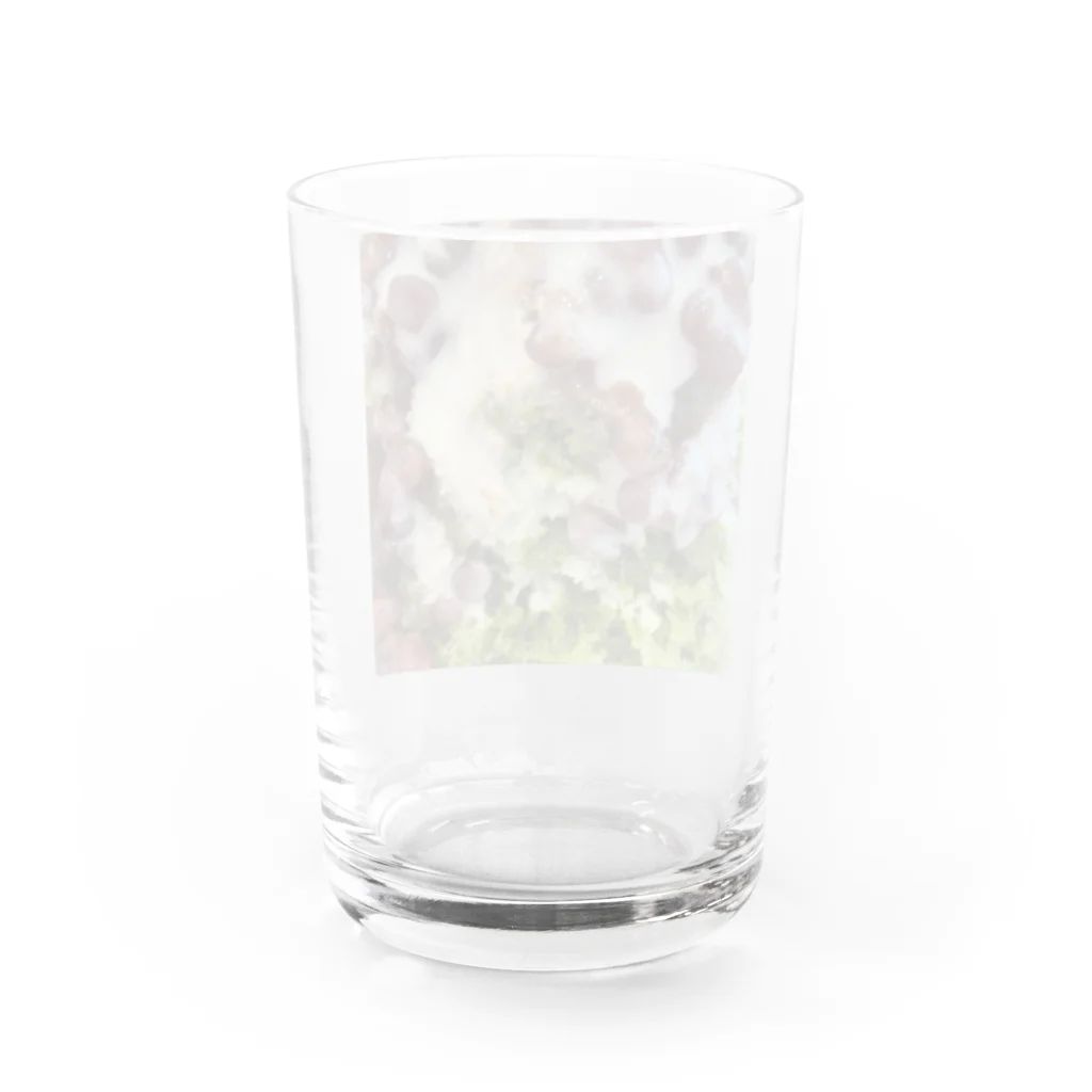 あゆのしおやきの練乳宇治金時 Water Glass :back