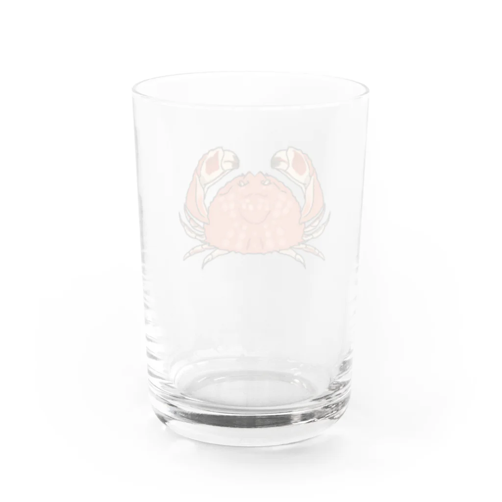 akiTaroのヤマトカラッパ  Water Glass :back