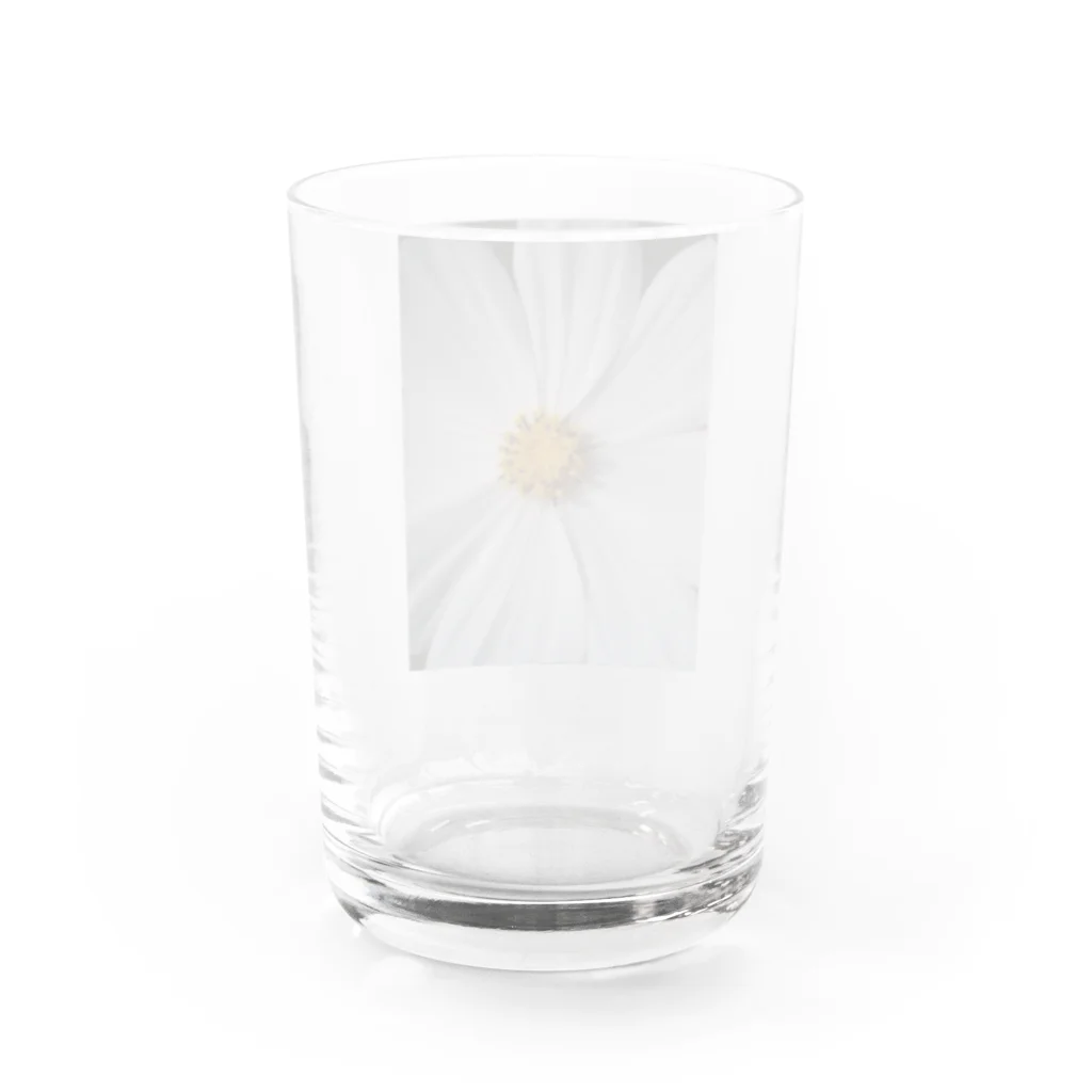 Dreamscape(LUNA)のその純粋な心で・・・ Water Glass :back