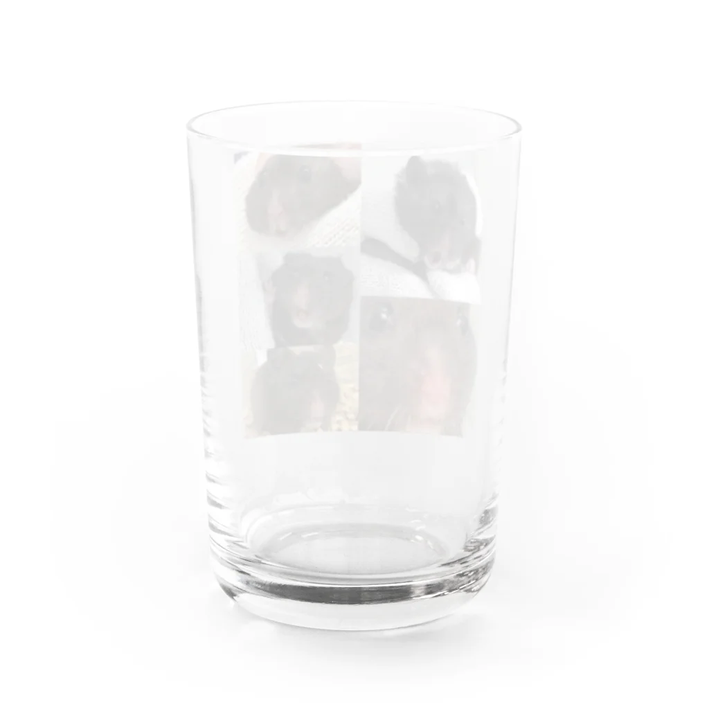 川沼池兄弟妹グッズの黒沼さん表情管理 Water Glass :back