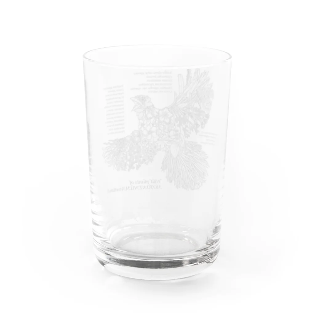 雁花工房（寄付アイテム販売中です）のWild plants of HOTOKENUMA-wetlands（黒） Water Glass :back