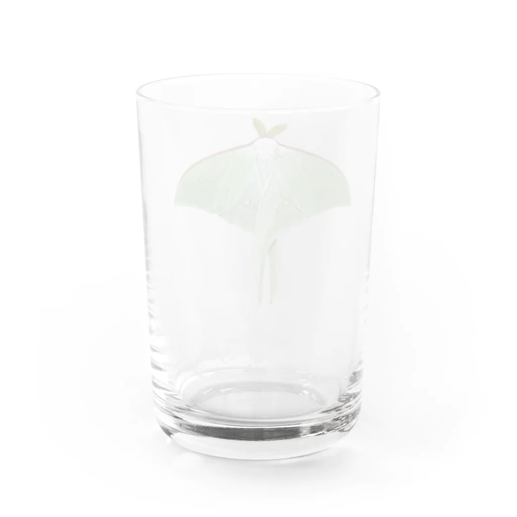 たまぴゃのオナガミズアオ Water Glass :back