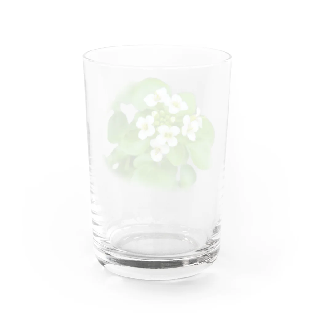 squeak🐭のクレソンのお花 Water Glass :back