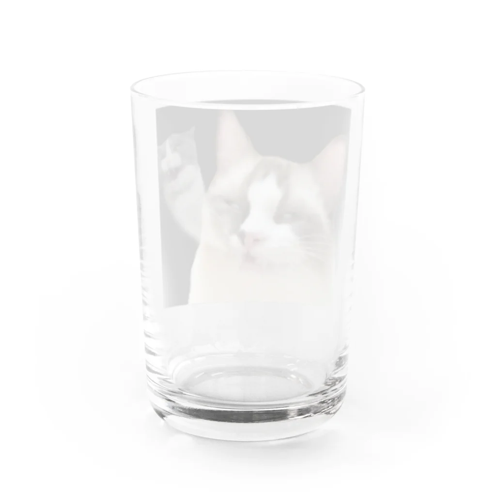 コテまるの白目 Water Glass :back