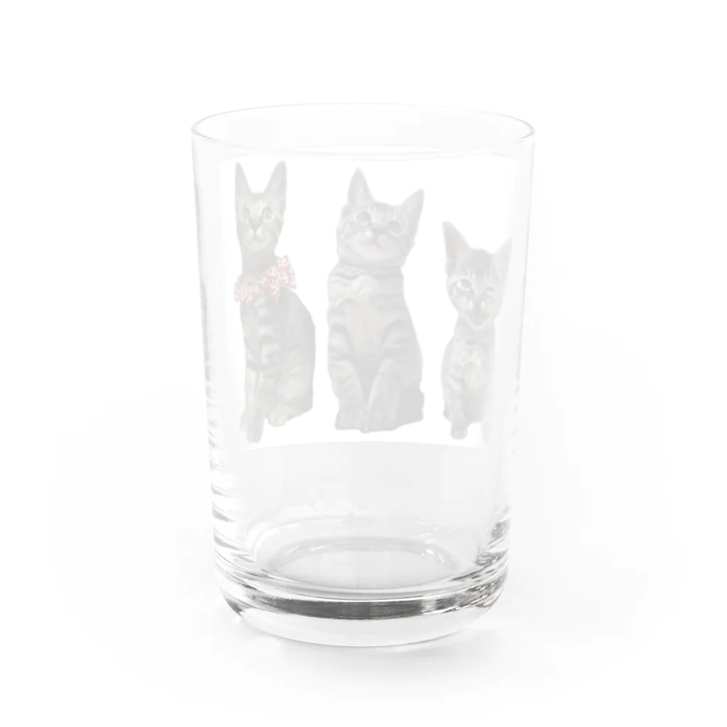 ブティックNENE🐾のネネの仔猫時代 Water Glass :back