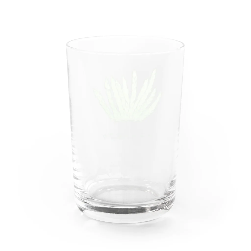 Yuzurium -ユズリウム- 苔テラリウムのネズミノオゴケ【苔グッズ】 Water Glass :back