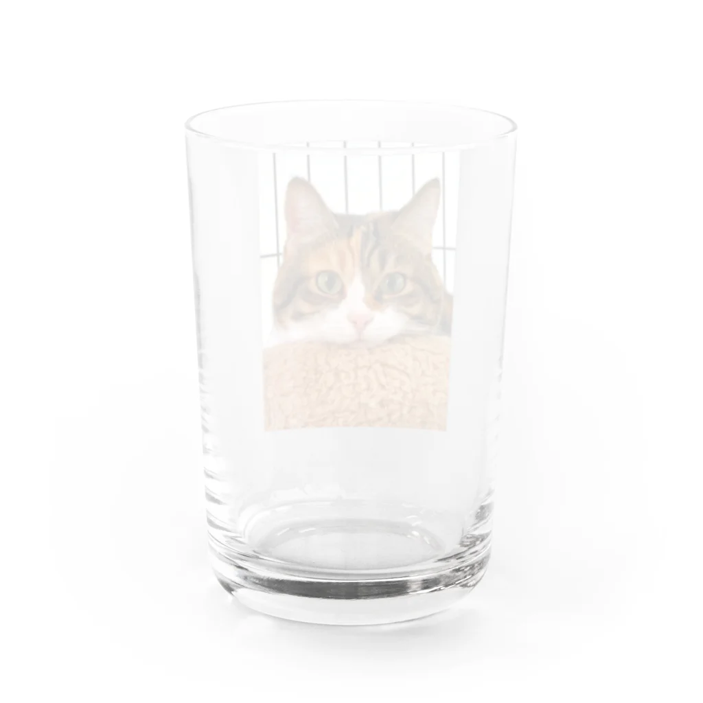 はなのははの赤鼻のはなちゃん Water Glass :back