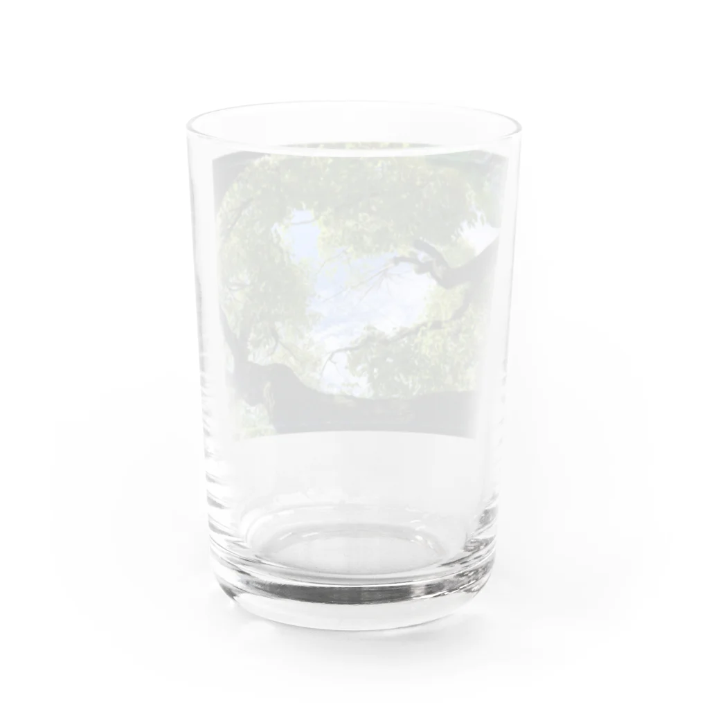 星川屋さんのハート型の空 Water Glass :back