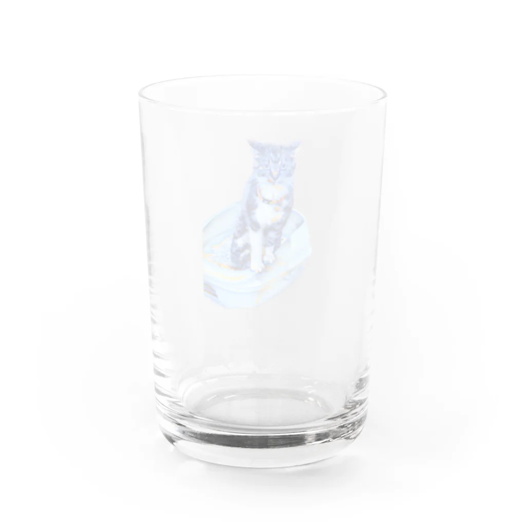 nekoneko_melonsodaの「su」 Water Glass :back