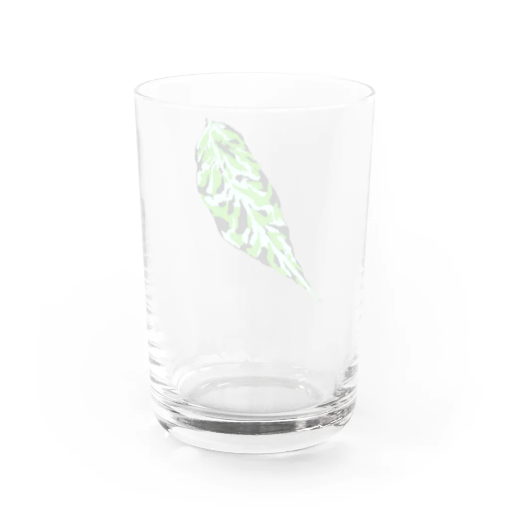 FOXWORKSのアグラオネマリーフ Water Glass :back