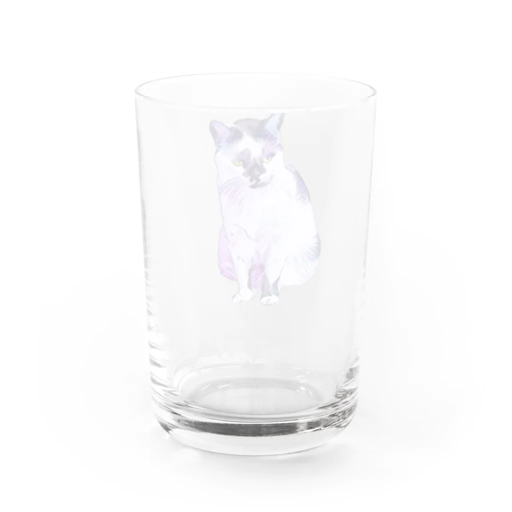 ねこまみれのアンニュイなネコ Water Glass :back