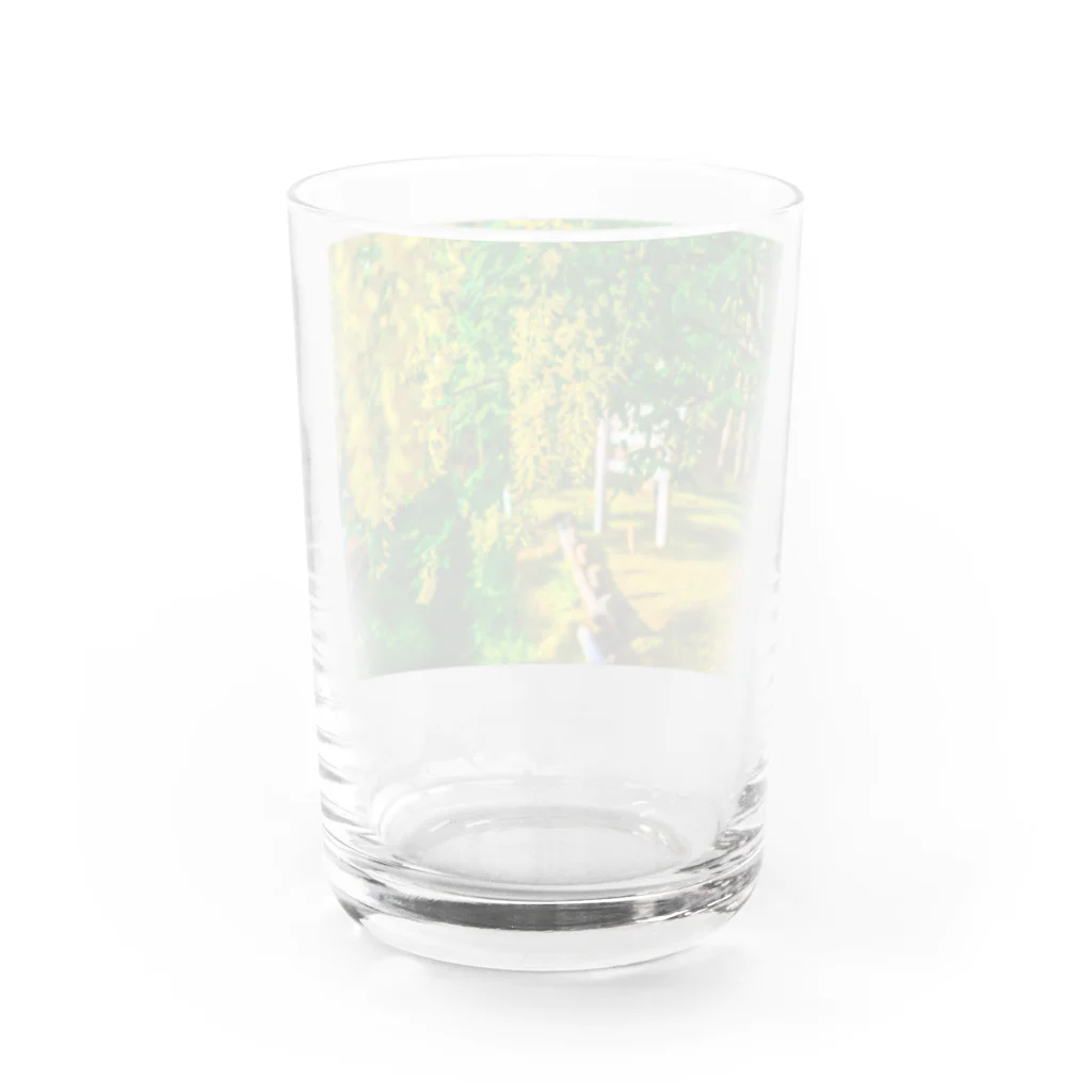 HANA-STUDIOのキングサリ Water Glass :back