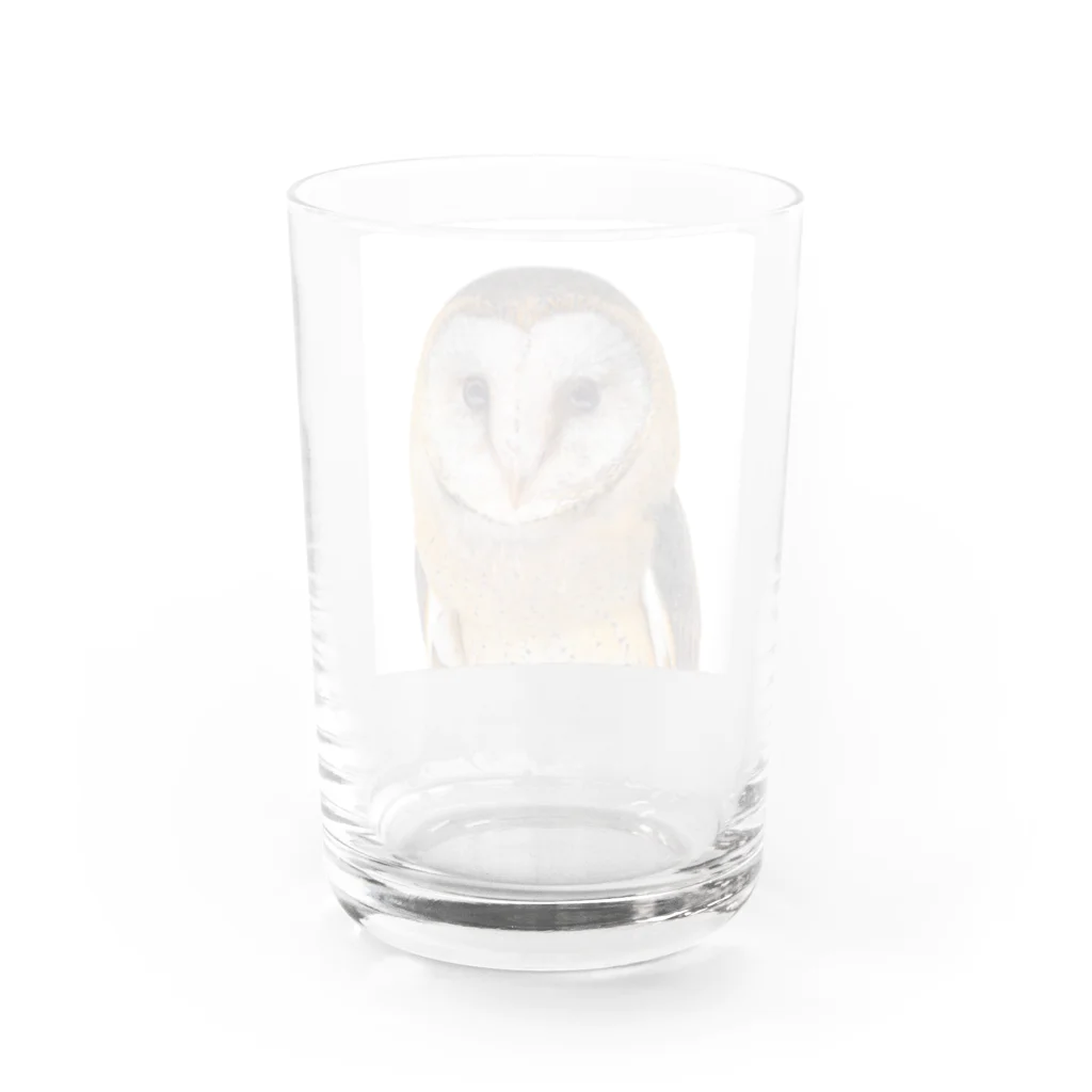 【CPPAS】Custom Pet Portrait Art Studioの可愛いメンフクロウ Water Glass :back