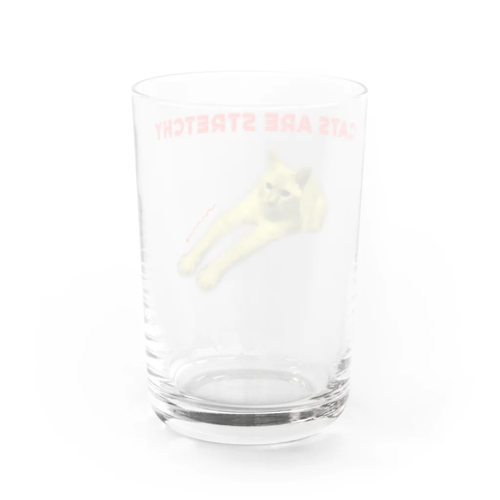 イエネコの猫は伸びる Water Glass :back