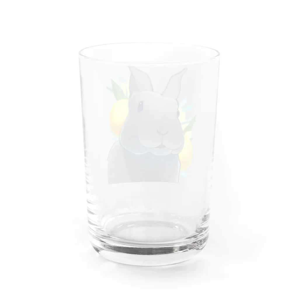 Mountain-and-Valleyのミニレッキスのゆずくん Water Glass :back