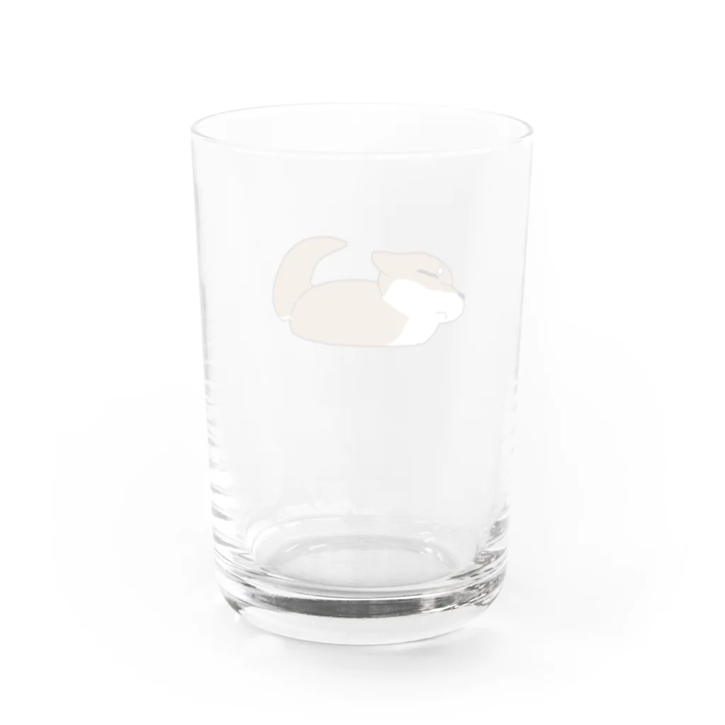 肉柴のアザラ柴 Water Glass :back