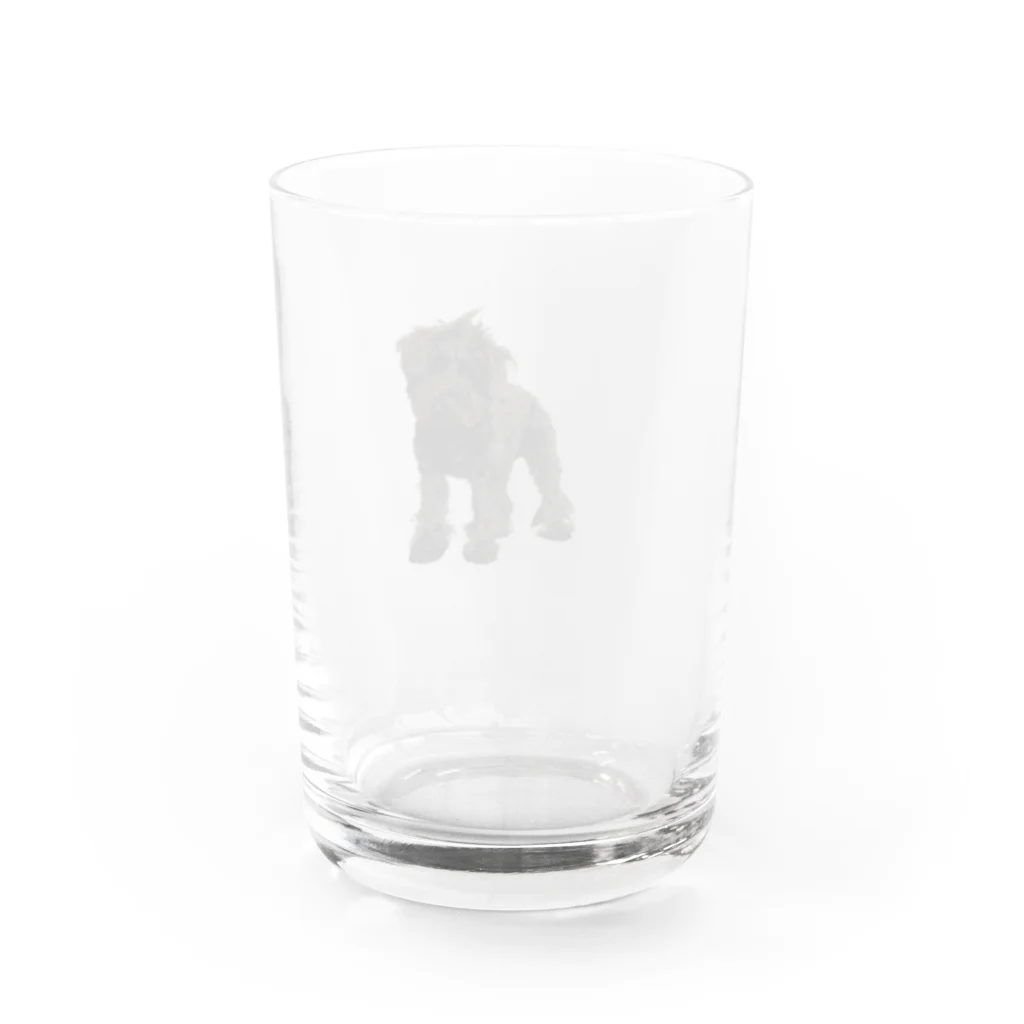 SHOP DYDO　のビャンチャン Water Glass :back