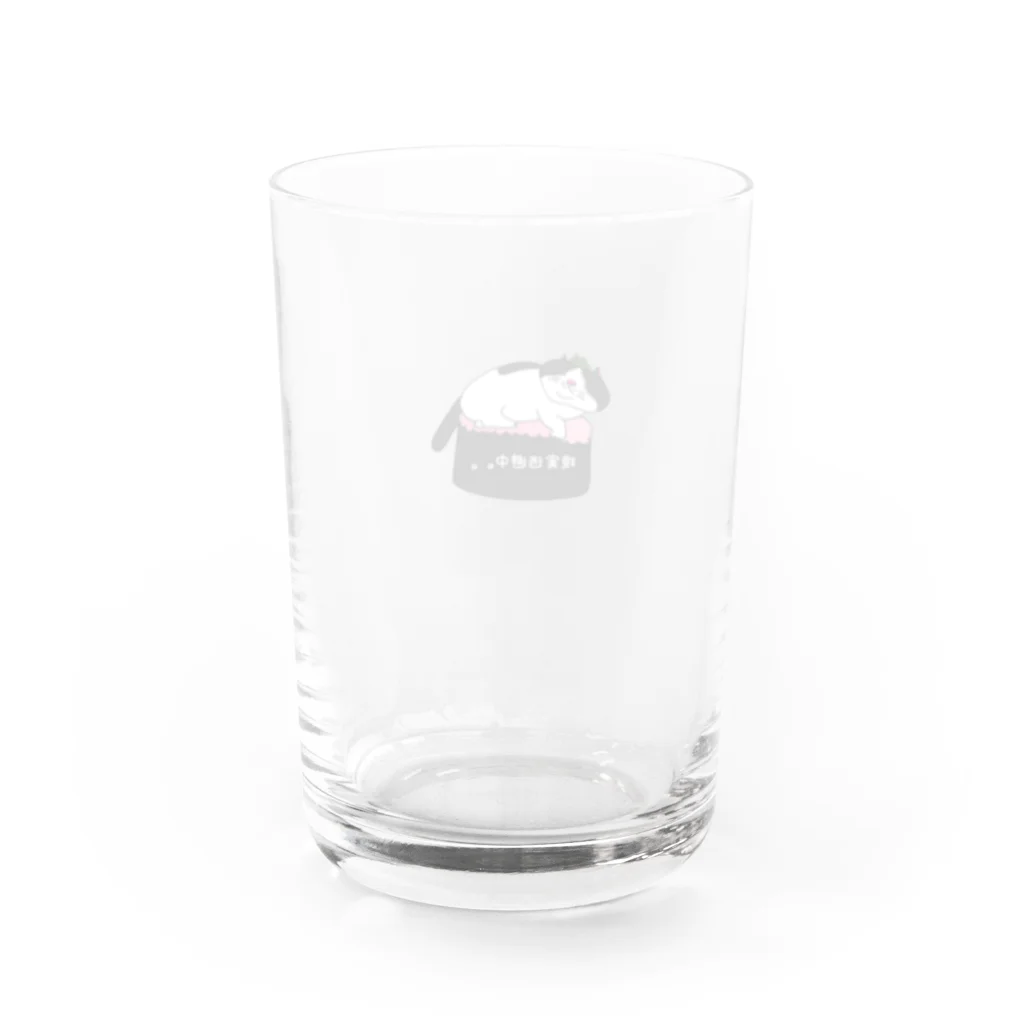 箱入りハチワレ猫　みょんの箱入りネコみょん Water Glass :back