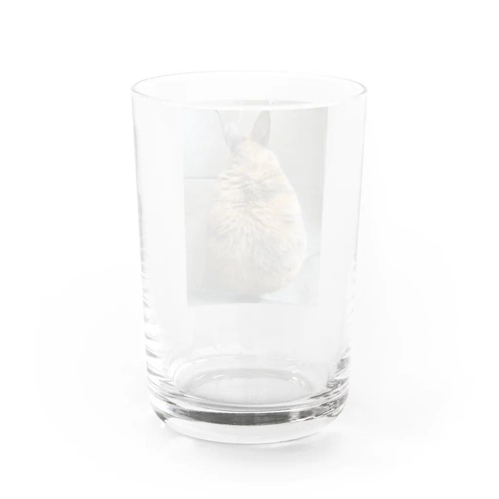 可愛きもの屋さんのラビフライ Water Glass :back