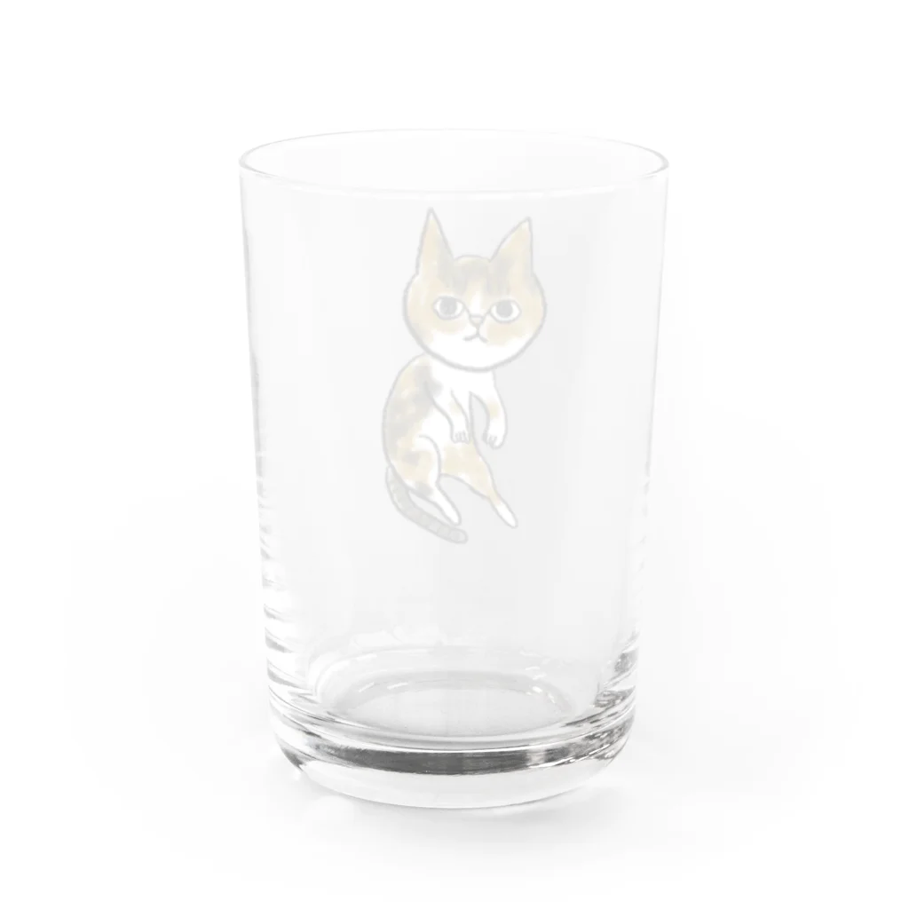 ニャンコ一族のかわいいさち Water Glass :back