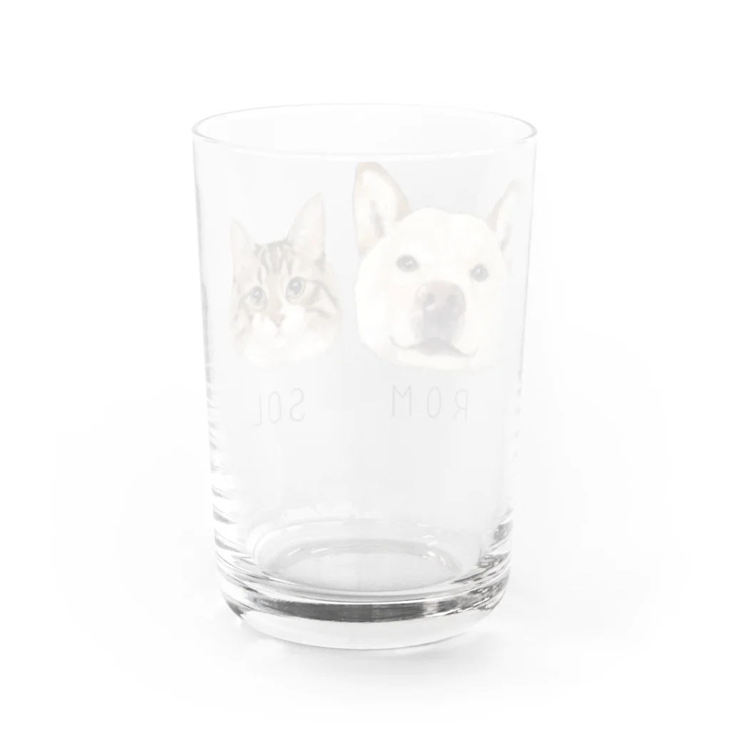 みきぞーん｜保護猫 ミッキー画伯と肉球とおともだちのrom & sol Water Glass :back