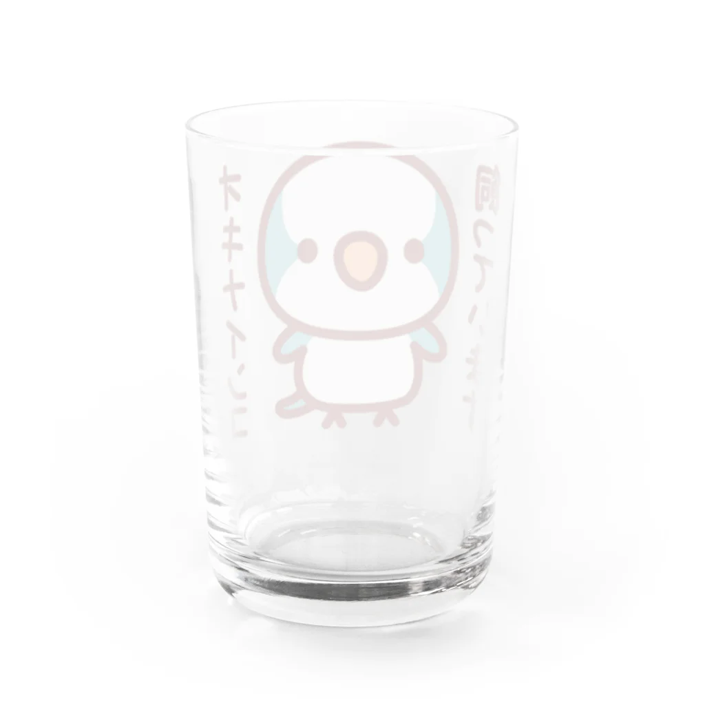 いんこ屋堂のオキナインコ飼っています（ブルー） Water Glass :back