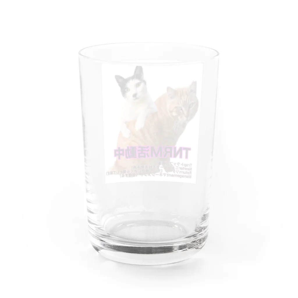 Dede's Furriendsのさくら猫チャンミーとココロ Water Glass :back