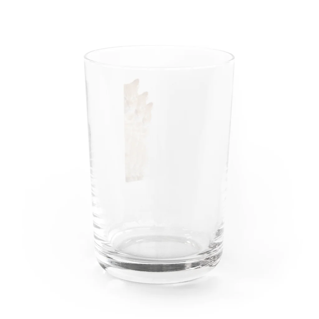 neMuのねこはみた。とりぷるず Water Glass :back