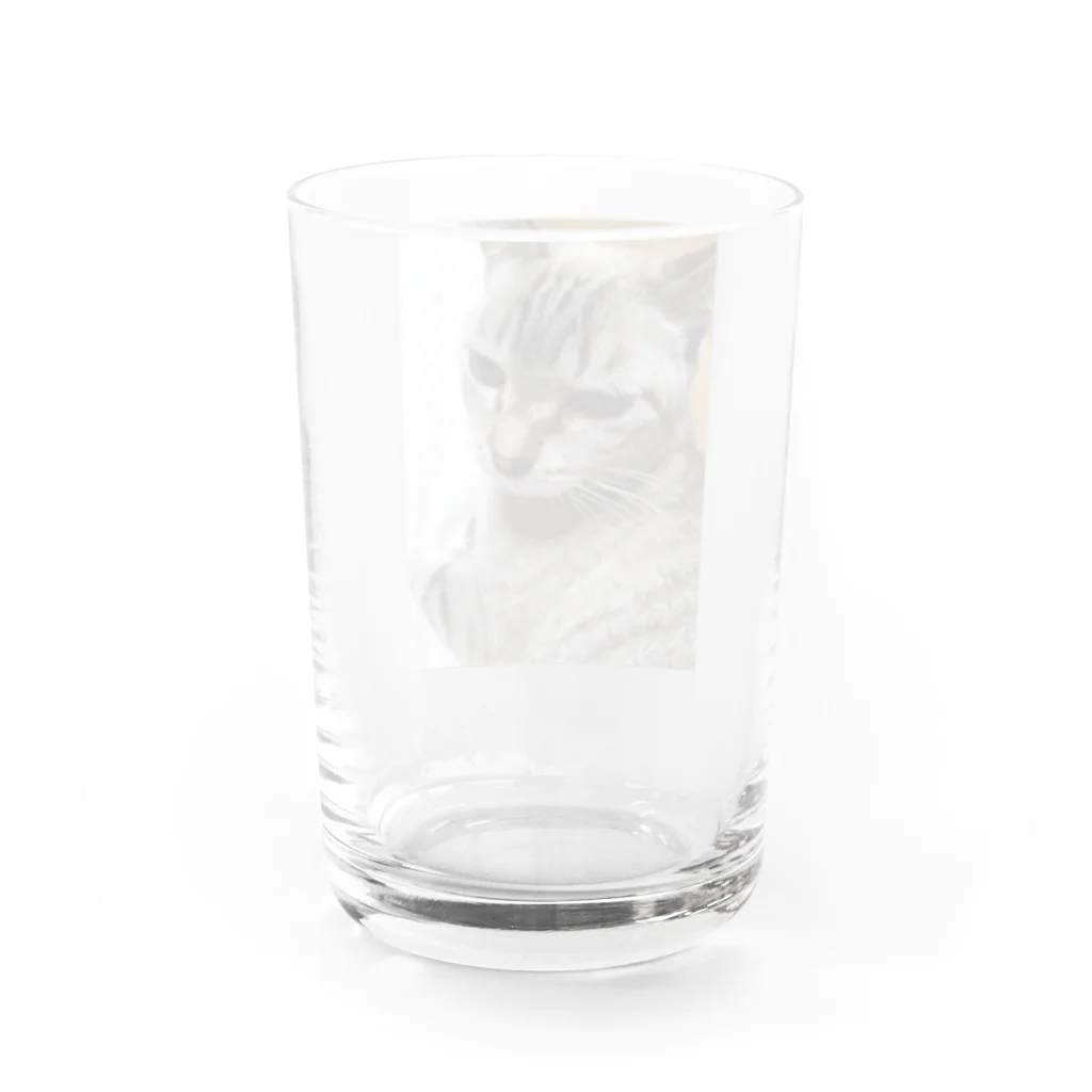 ねこの森でお散歩のさあ、モフりなさいよ。 Water Glass :back