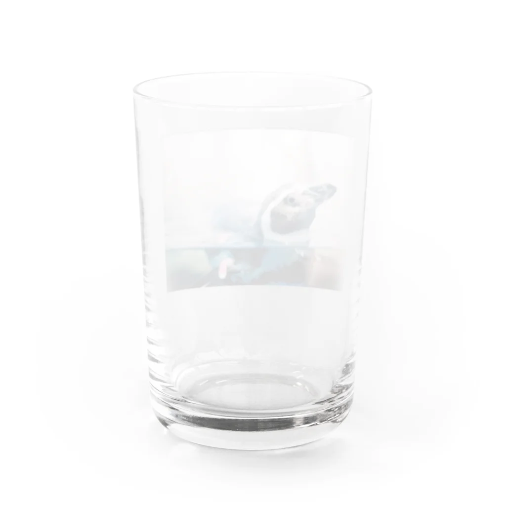 水槽にてのぺんぎんとおどる Water Glass :back