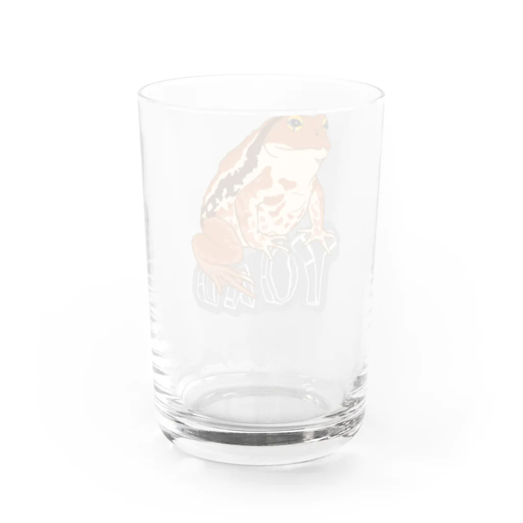 LalaHangeulのTOAD (ヒキガエル) 英字バージョン Water Glass :back