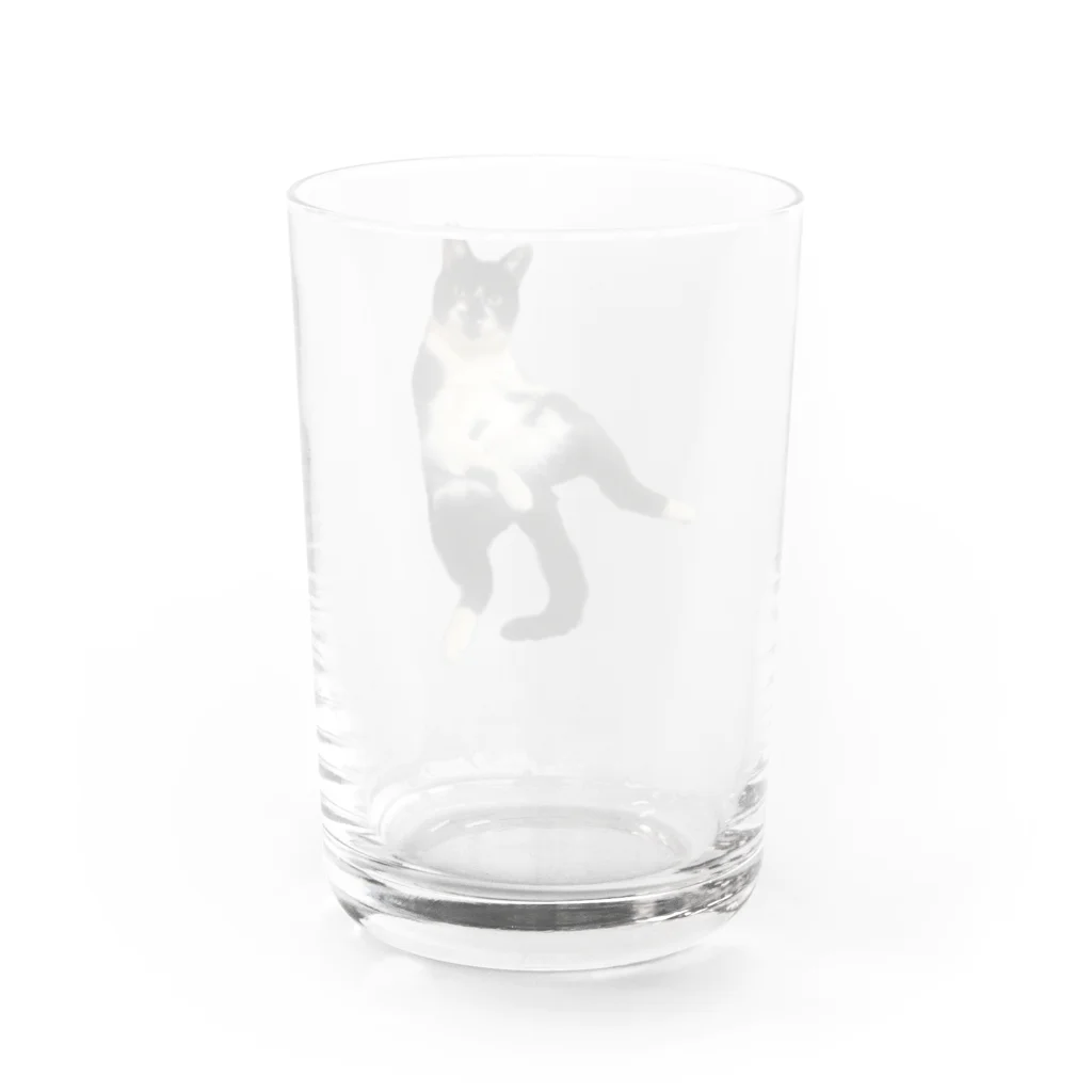 まきぼっくりのひょうきん猫カンタくん グラス反対面