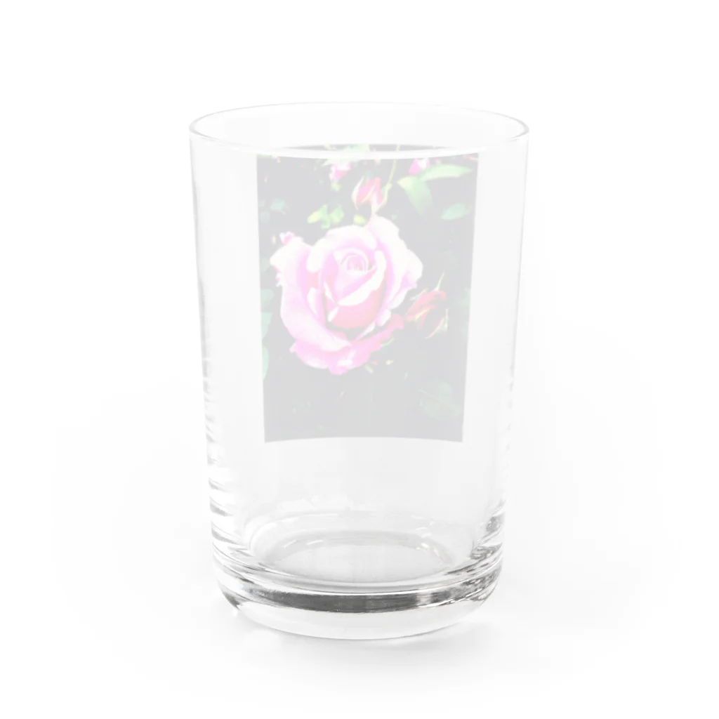 るいさんちの棘 Water Glass :back