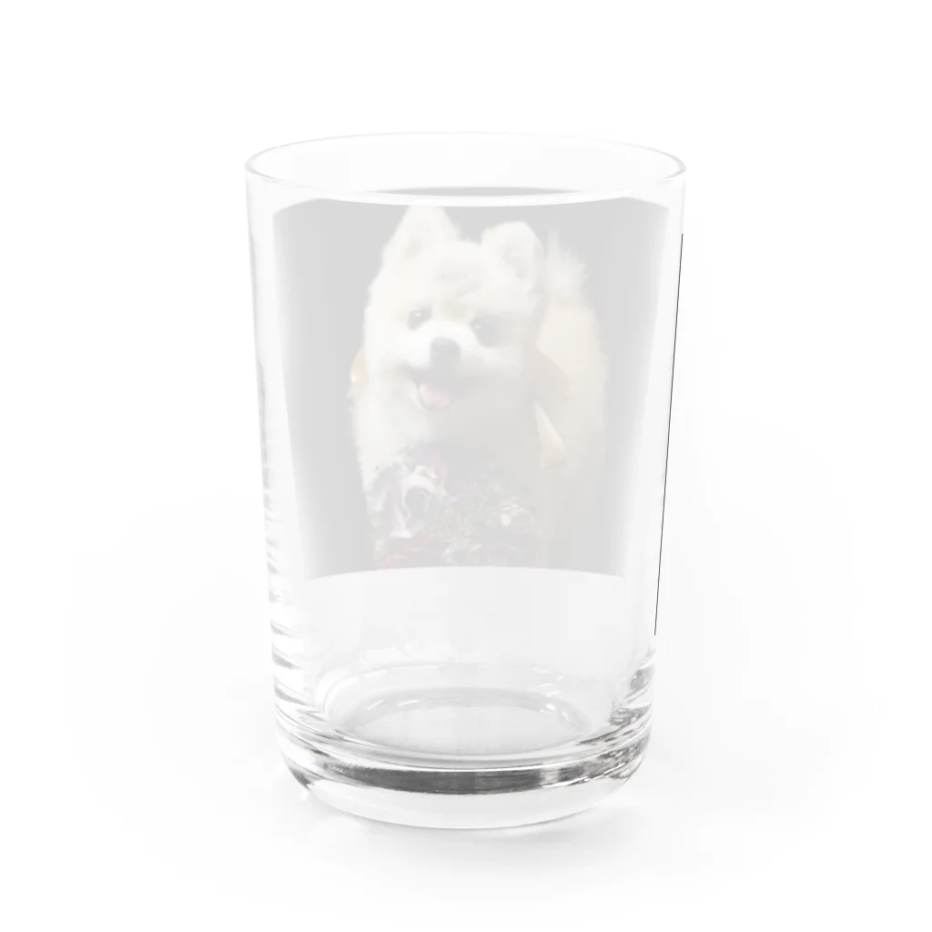 めぐみん。🐰🧸のにこにこマック Water Glass :back