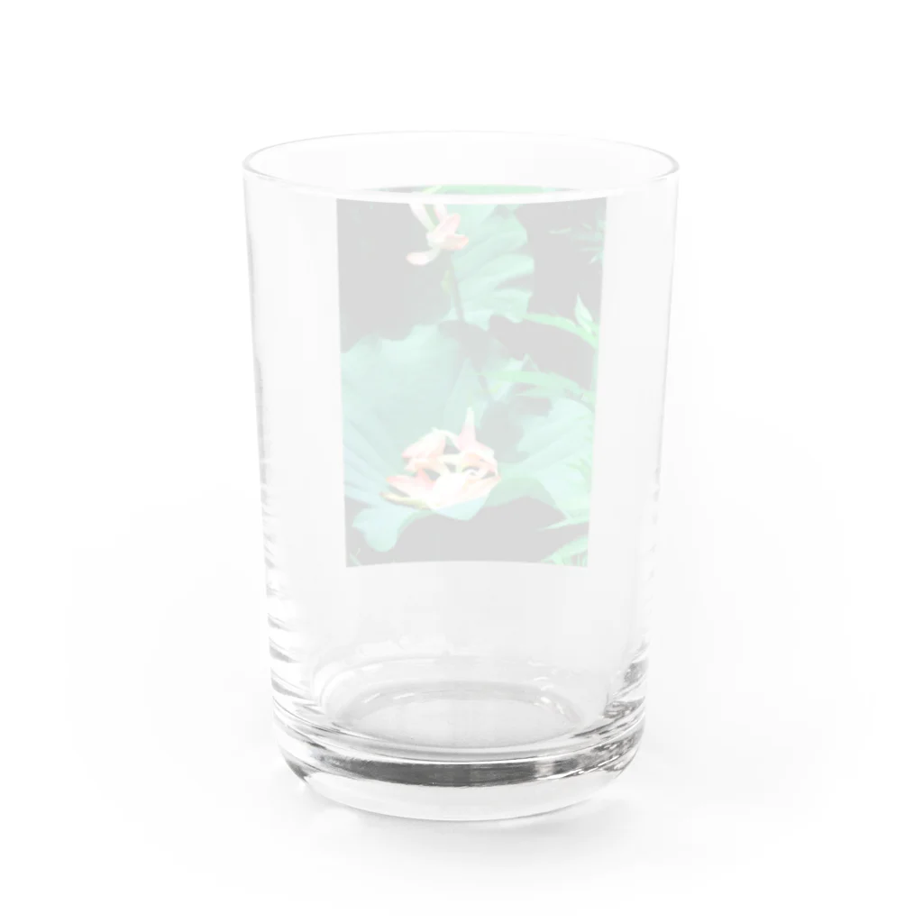 自作自演乙商店街の巫女屋⛩️(仏さん) Water Glass :back