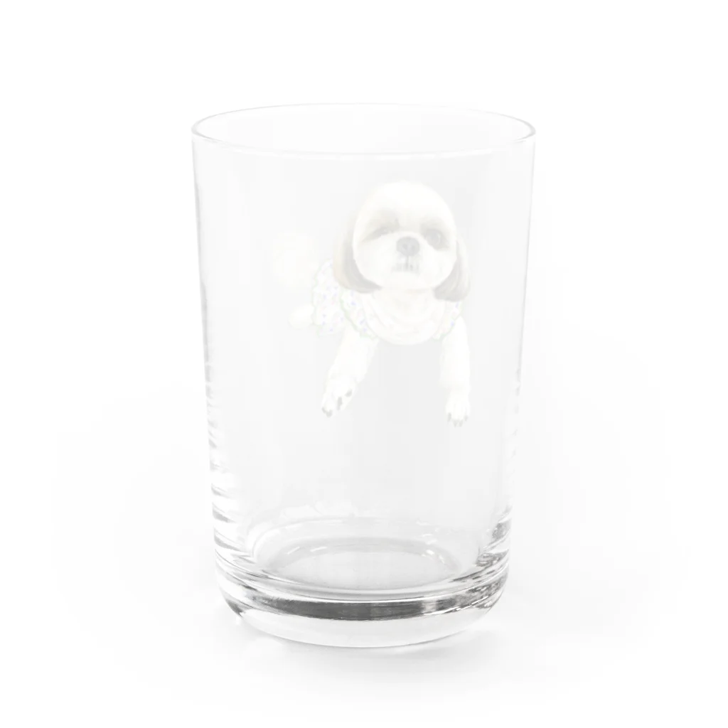 ぼのまめのシガちゃん Water Glass :back
