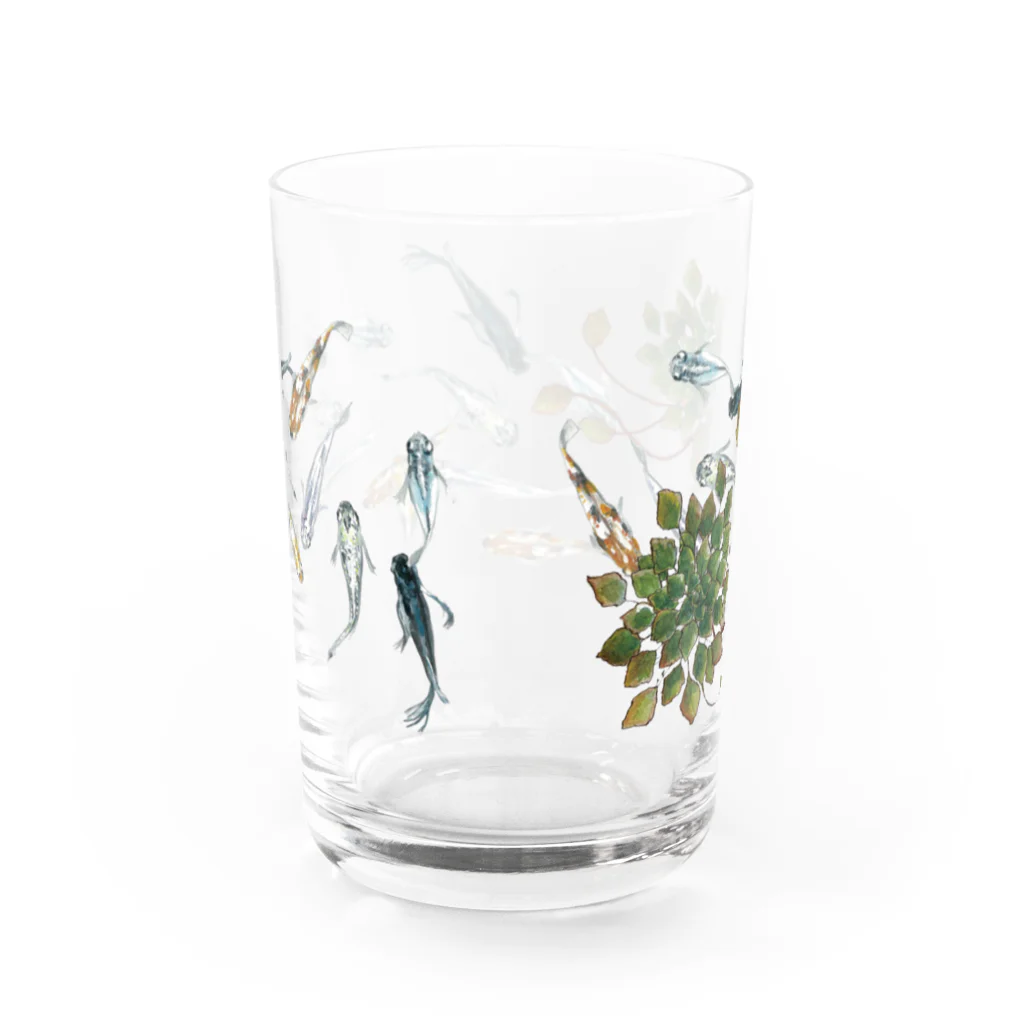 トラのメダカとウォーターダイヤのコップ(小) Water Glass :back