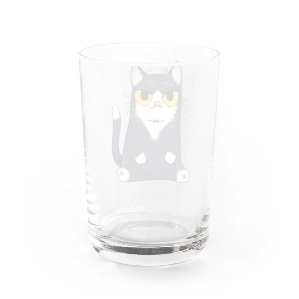 はまきの鼻ペロはちわれ靴下猫 Water Glass :back