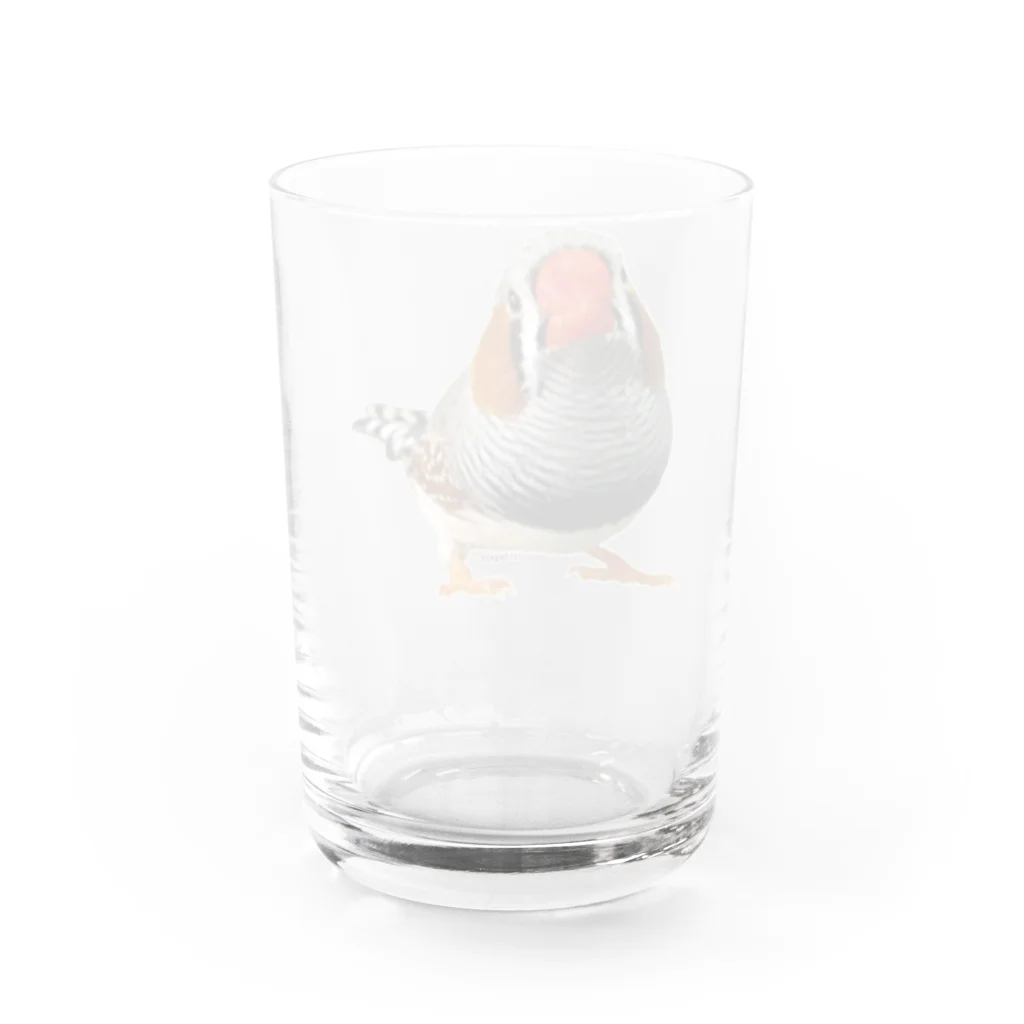 だが屋のおすましキンカ Water Glass :back