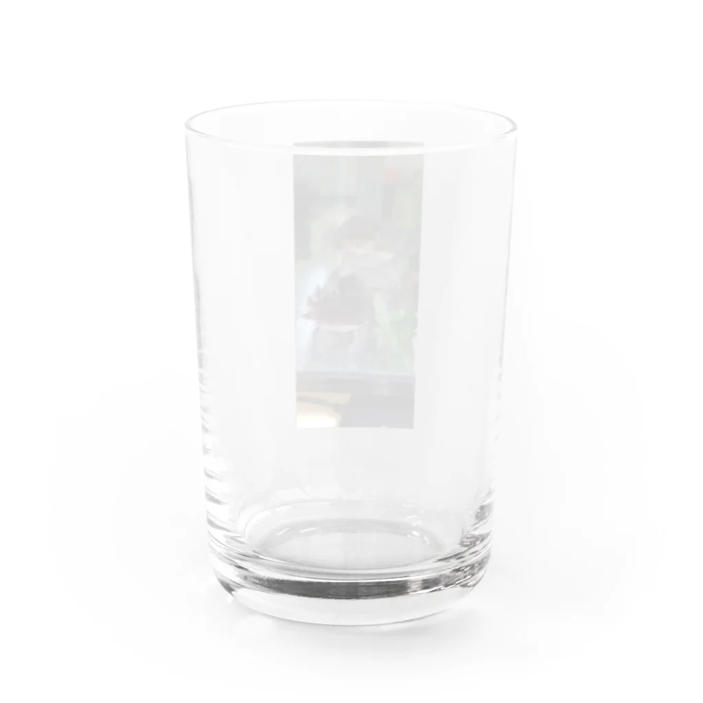 sorasora-のウーパールーパー　仲良しコンビ Water Glass :back