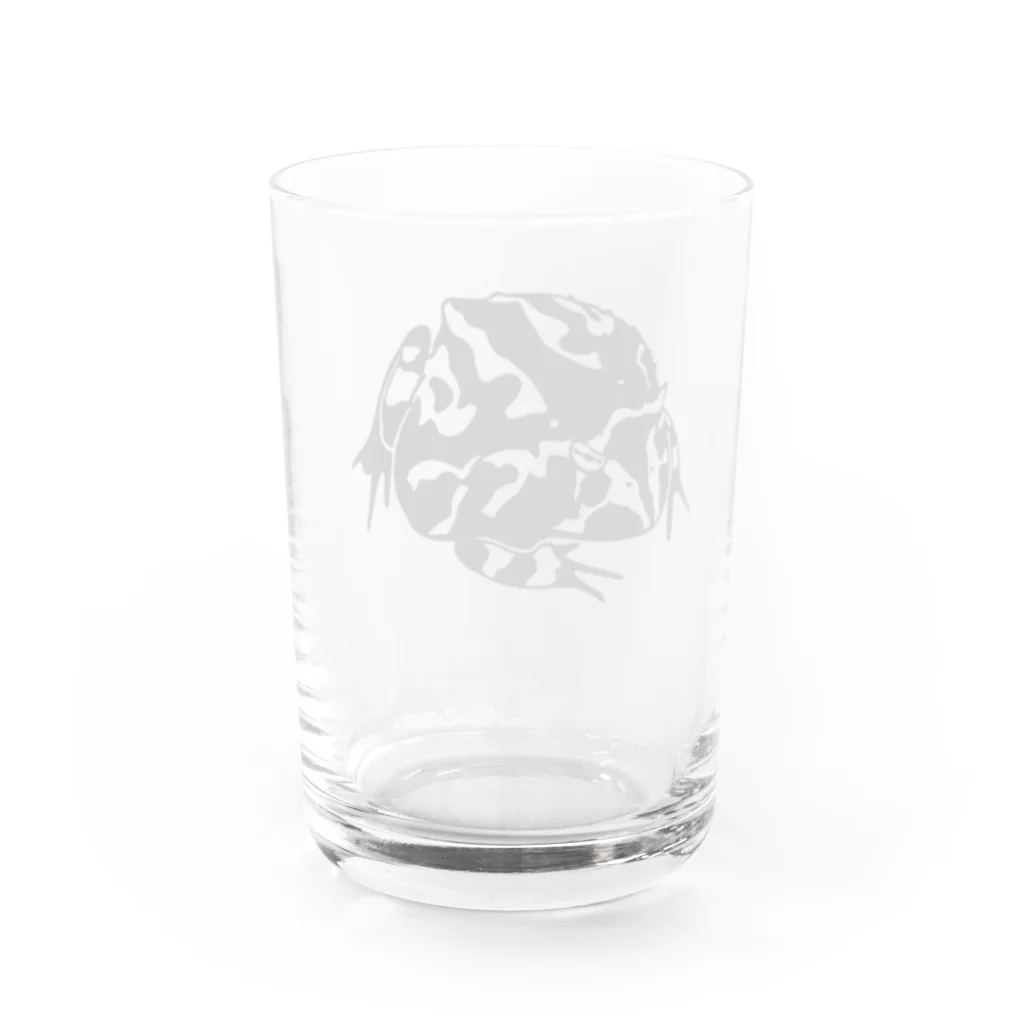 まめ★ARTのアマゾンツノガエル君 Water Glass :back